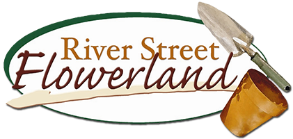 River Street Flowerland Logo
